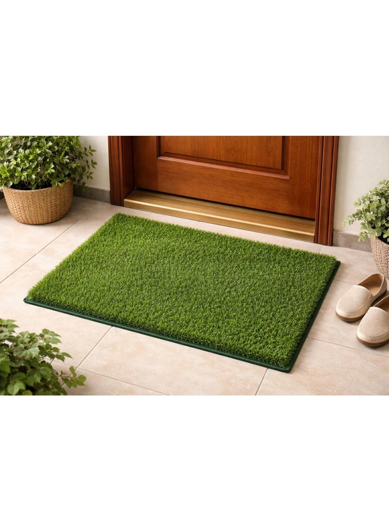 Artificial grass walkway in front of the house door - 2 cm high - waterproof and slip-resistant - easy to clean - natural look for entrances and doors (50*80) - Image 1